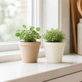 Mini Flowerpot