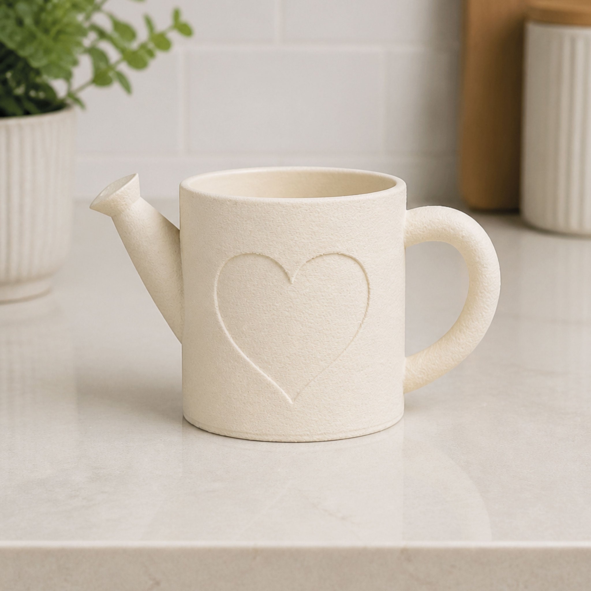 Watering Can Pot